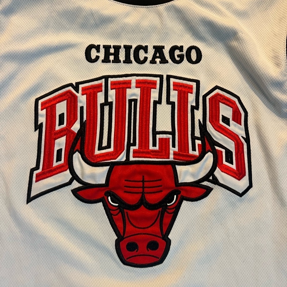 Ultra Game Chicago Bulls NBA Basketball Jersey Size Large EUC - Picture 3 of 5